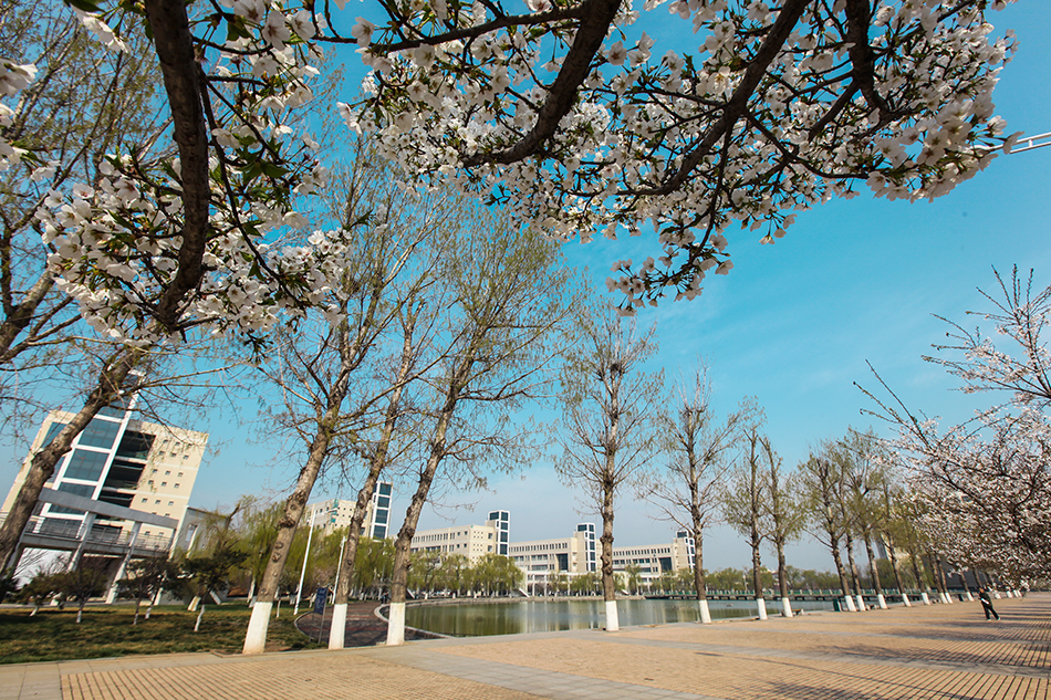 淄博职业学院—校园早春（2）