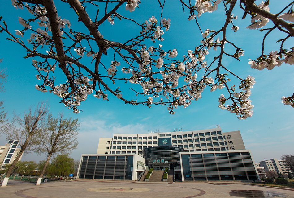 淄博职业学院—校园早春（3）