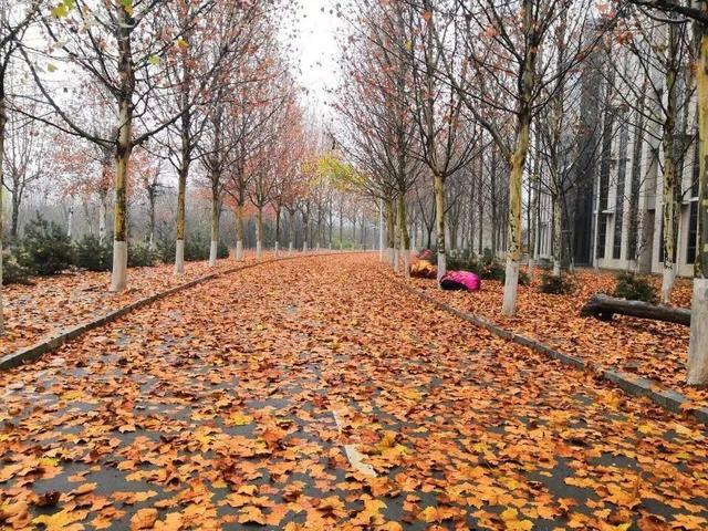 【高校】淄博职业学院
